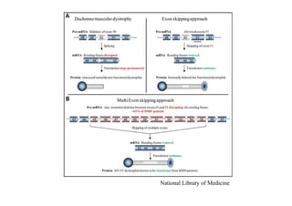 Stem cells in regenerative biology and medicine | PDF