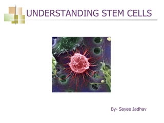 UNDERSTANDING STEM CELLS By- Sayee Jadhav   