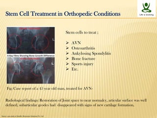 Stem cells niche and therapeutic applications | PPTX
