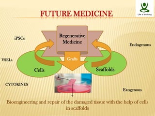 Stem cells niche and therapeutic applications | PPTX