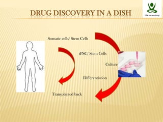 Stem cells niche and therapeutic applications | PPTX