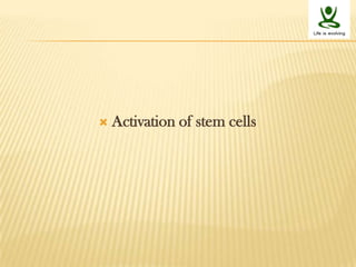 Stem cells niche and therapeutic applications | PPTX