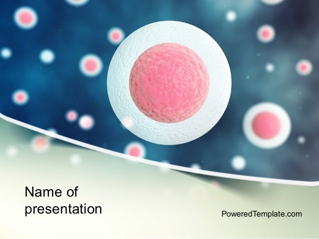 stem-cells-powerpoint-template