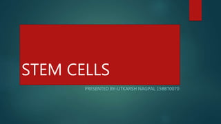 STEM CELLS
PRESENTED BY-UTKARSH NAGPAL 15BBT0070
 