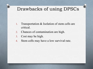stem cells ppt (1).pptx