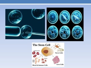 Stem cells | PPTX