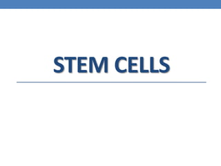 STEM CELLS
 