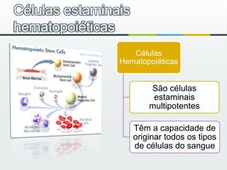 Células estaminais hematopoiéticas