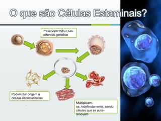 O que são Células Estaminais?Preservam todo o seu potencial genéticoPodem dar origem a células especializadasMultiplicam-se, indefinidamente, sendo células que se auto-renovam