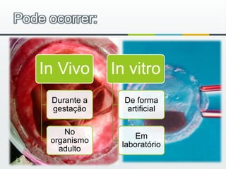 Pode ocorrer: 