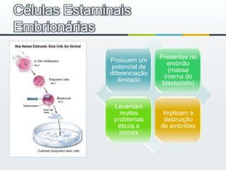 Células Estaminais Embrionárias