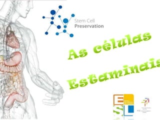 As células               Estaminais 13 Out‘10 Mestrado Integrado em Engenharia Biomédica 