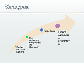 Vantagens Grande capacidade proliferativa