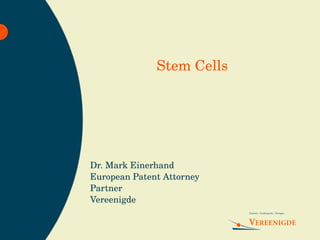 Dr. Mark Einerhand European Patent Attorney Partner Vereenigde Stem Cells 
