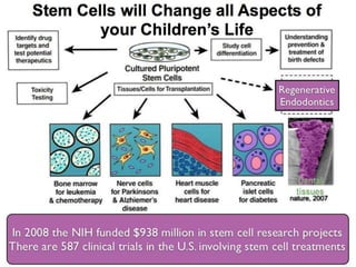 Understanding Stem Cells