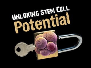 Understanding Stem Cells