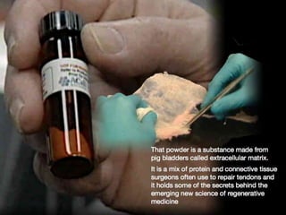 Understanding Stem Cells