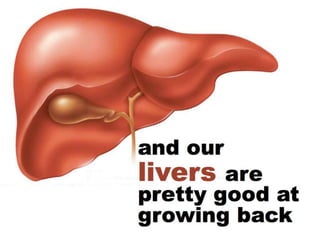 Understanding Stem Cells