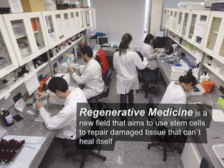 Understanding Stem Cells