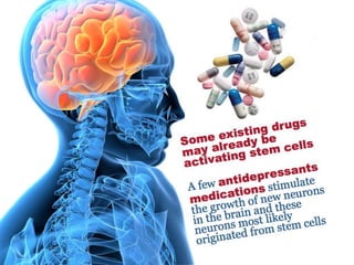 Understanding Stem Cells