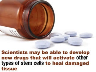 Understanding Stem Cells