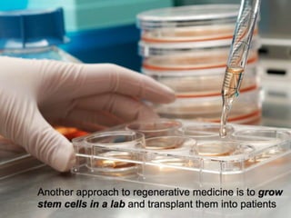 Understanding Stem Cells