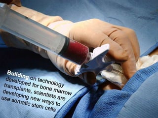 Understanding Stem Cells