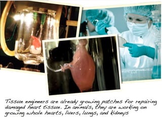 Understanding Stem Cells