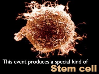 Understanding Stem Cells