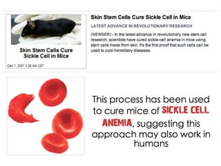 Understanding Stem Cells