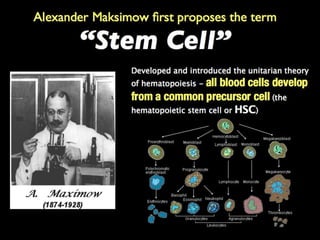 Understanding Stem Cells