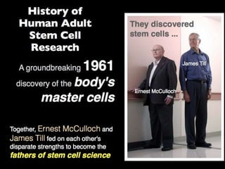 Understanding Stem Cells