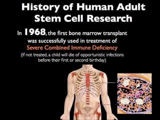 Understanding Stem Cells