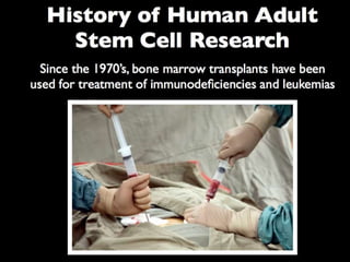 Understanding Stem Cells