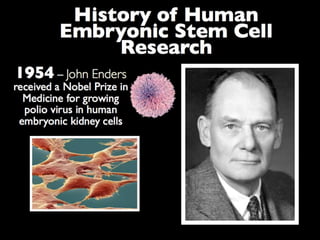 Understanding Stem Cells