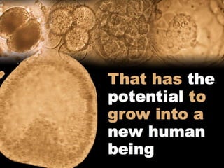 Understanding Stem Cells