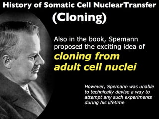 Understanding Stem Cells