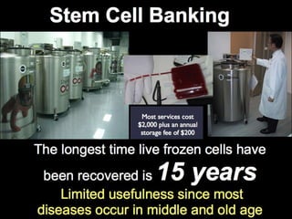 Understanding Stem Cells