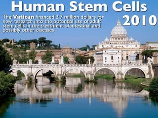Understanding Stem Cells