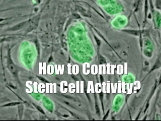 Understanding Stem Cells