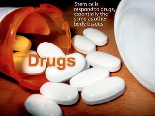 Understanding Stem Cells