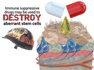 Understanding Stem Cells
