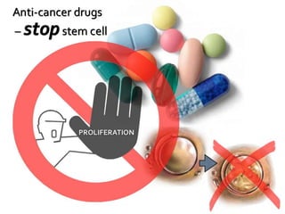 Understanding Stem Cells