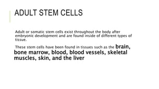 ADULT STEM CELLS
Adult or somatic stem cells exist throughout the body after
embryonic development and are found inside of different types of
tissue.
These stem cells have been found in tissues such as the brain,
bone marrow, blood, blood vessels, skeletal
muscles, skin, and the liver
 