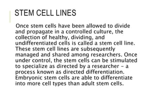 STEM CELL LINES
Once stem cells have been allowed to divide
and propagate in a controlled culture, the
collection of healthy, dividing, and
undifferentiated cells is called a stem cell line.
These stem cell lines are subsequently
managed and shared among researchers. Once
under control, the stem cells can be stimulated
to specialize as directed by a researcher - a
process known as directed differentiation.
Embryonic stem cells are able to differentiate
into more cell types than adult stem cells.
 