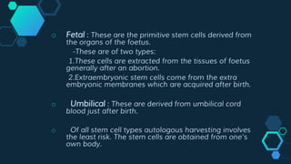 o Fetal : These are the primitive stem cells derived from
the organs of the foetus.
-These are of two types:
1.These cells are extracted from the tissues of foetus
generally after an abortion.
2.Extraembryonic stem cells come from the extra
embryonic membranes which are acquired after birth.
o Umbilical : These are derived from umbilical cord
blood just after birth.
o Of all stem cell types autologous harvesting involves
the least risk. The stem cells are obtained from one’s
own body.
 