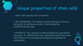 ◇Stem cells possess two properties.
◇SELF-RENEWAL: The ability to grow through numerous
cell cycles of cell division while maintaining the
undifferentiated state.
◇POTENCY: The capacity to differentiate into specialised
cell types. To differentiate into specialised cells these stem
cells require to be pleuripotent,totipotent,unipotent or
multipotent
Unique properties of stem cells
 