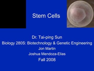 Stem Cells Dr.  Tai-ping Sun Biology 280S: Biotechnology & Genetic Engineering Jon Martin Joshua Mendoza-Elias Fall 2008 