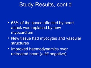 Study Results, cont’d 68% of the space affected by heart attack was replaced by new myocardium New tissue had myocytes and vascular structures Improved haemodynamics over untreated heart ( c-kit  negative) 