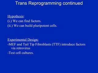 Trans Reprogramming continued Hypothesis : (i.) We can find factors. (ii.) We can build pluripotent cells. Experimental Design: -MEF and Tail Tip Fibroblasts (TTF) introduce factors via retrovirus -Test cell cultures. 